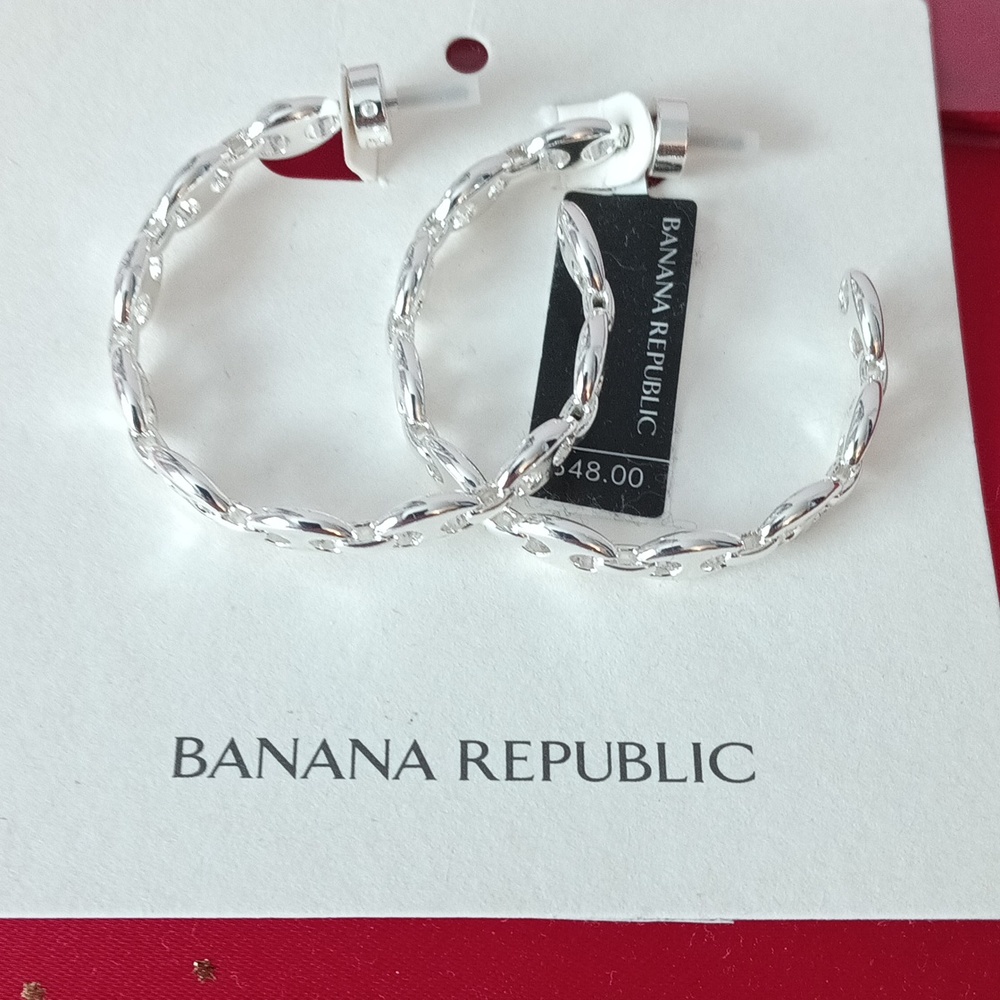 Banana Republic Loop Earrings